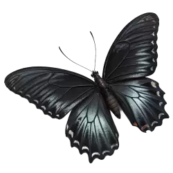 Imagen PNG para descargar